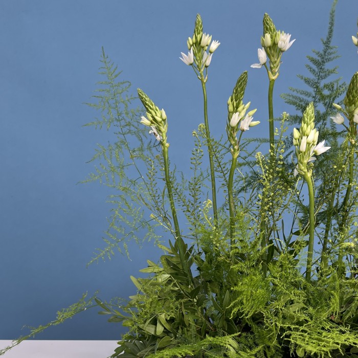 Настольная композиция Лесная поляна